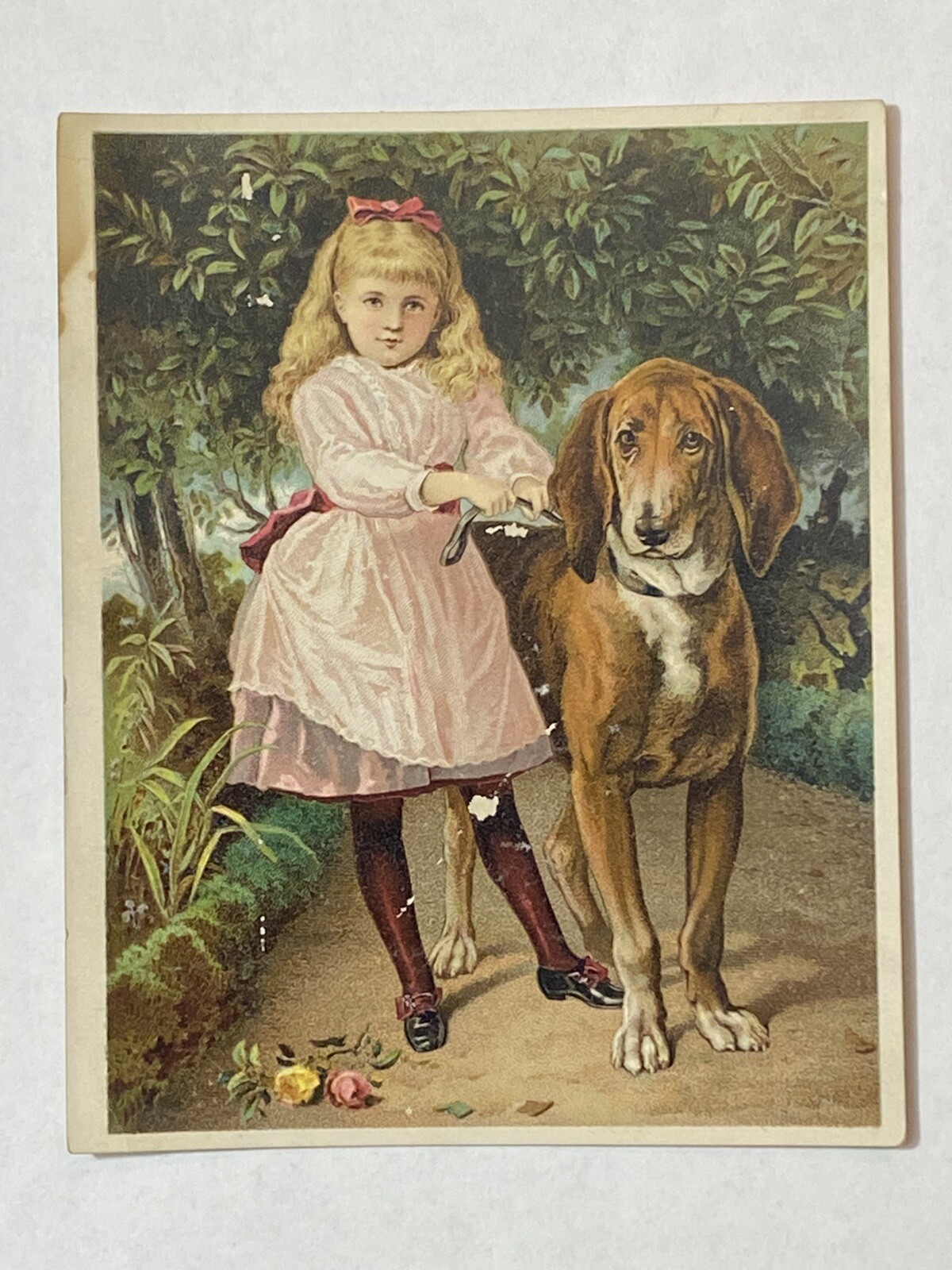 Victorian Trade Card 1880s Dr. Jayne’s Tonic Vermifuge “He Won’t Hurt You”