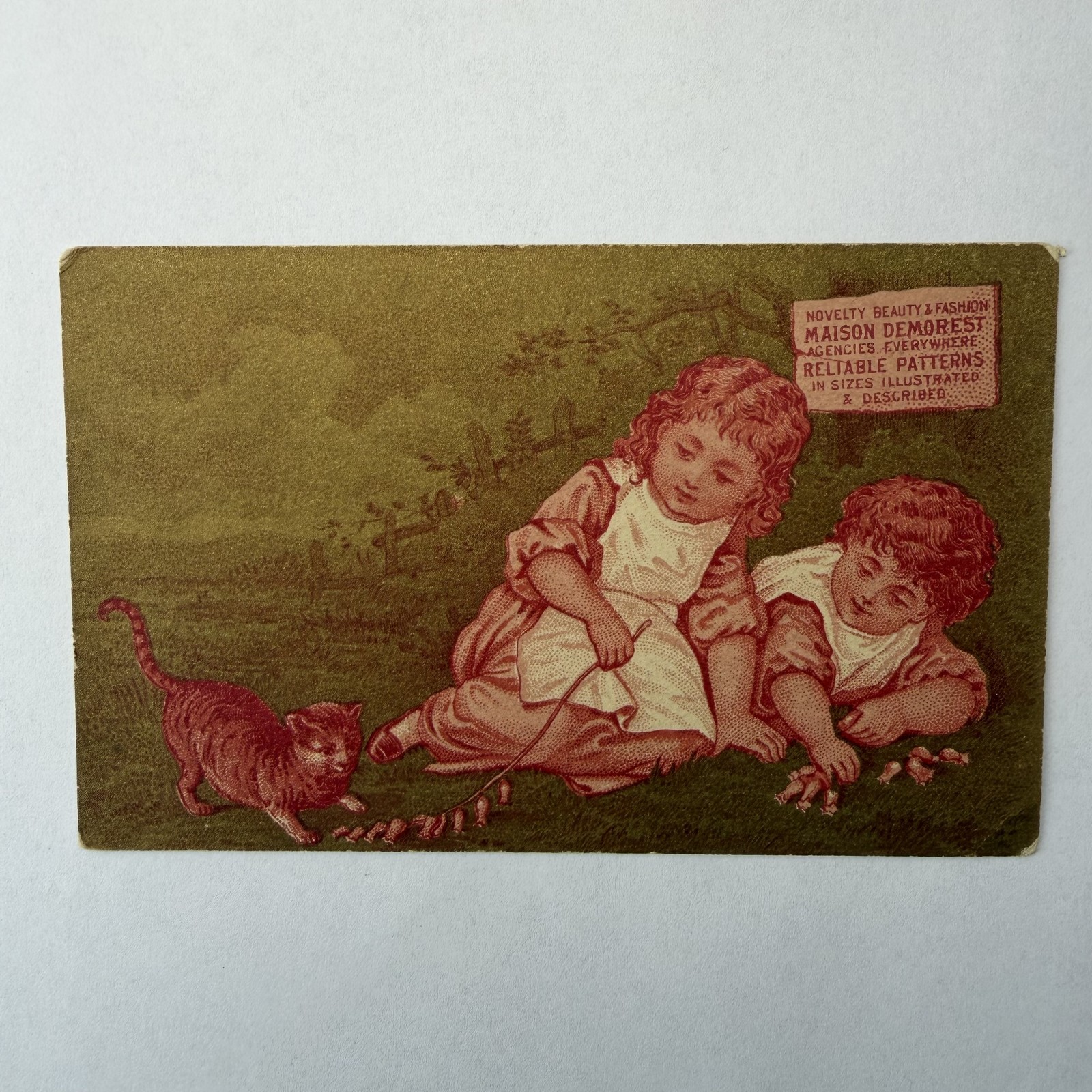 JR West Evansville WI Rock Co Trade Card Maison Demorest Patterns Girl With Cat