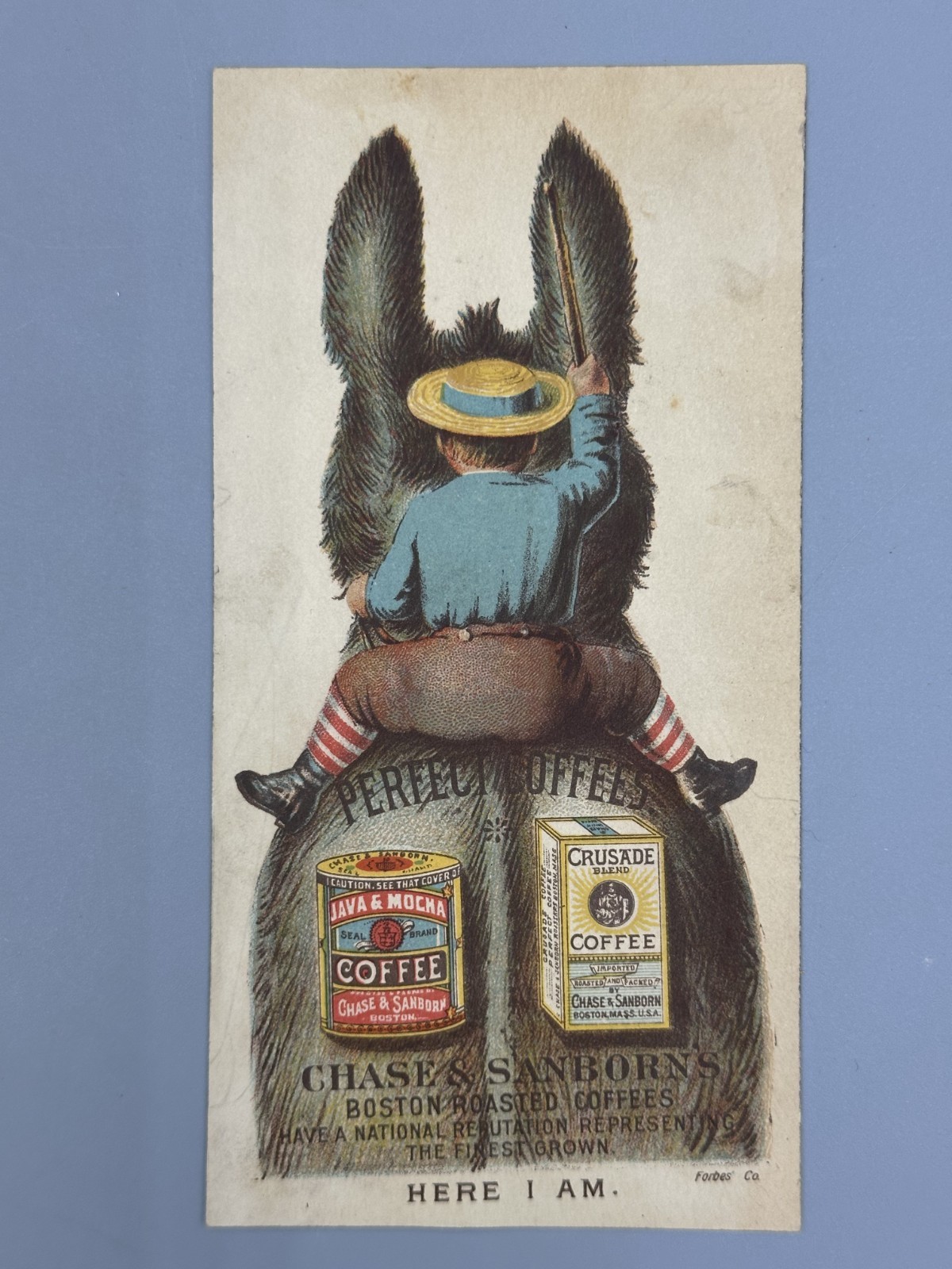 1880s DONKEY Chase & Sanborn COFFEE Victorian Advertising Trade Card