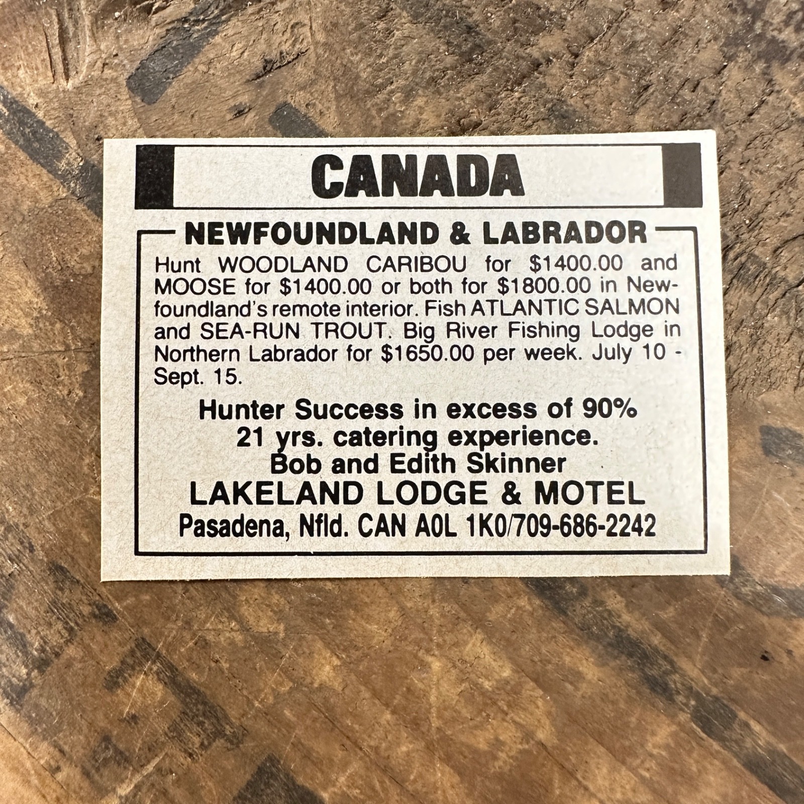 1982 LAKELAND LODGE MOTEL Vintage Print Ad Pasadena Newfoundland Canada Caribou