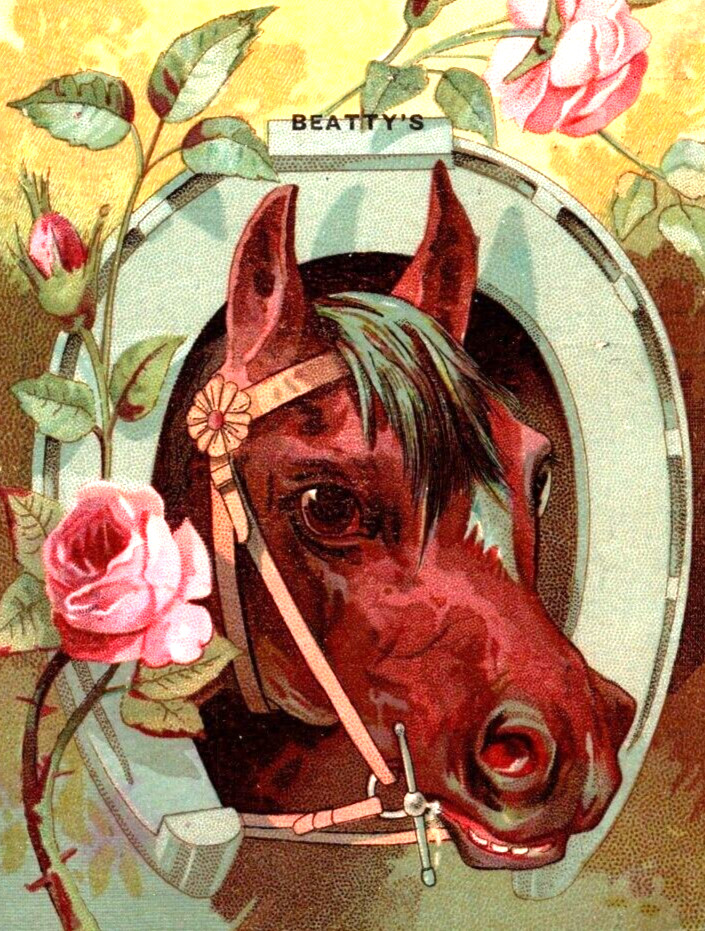 Beattys Organs and Pianos Washington NJ Victorian Trade Card Equine Horseshoe