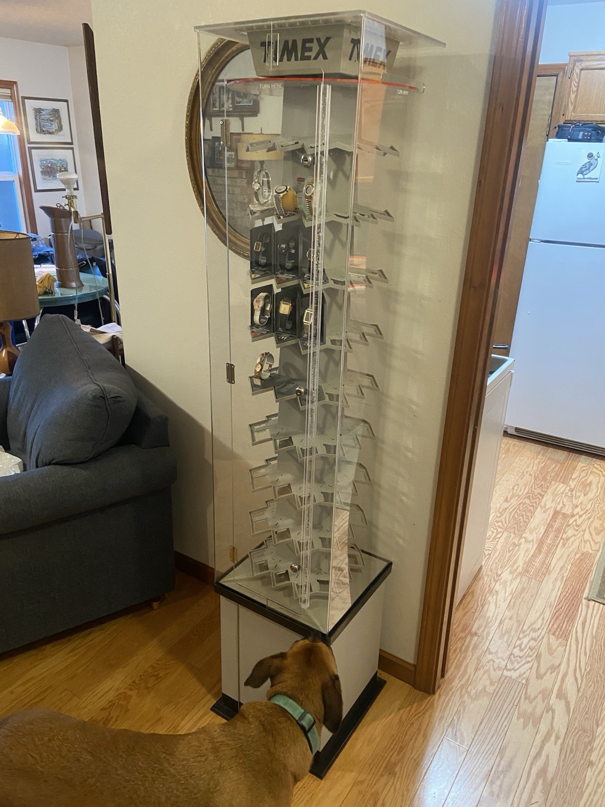 1980s Timex Branded Store Display Case- Wristwatches Included