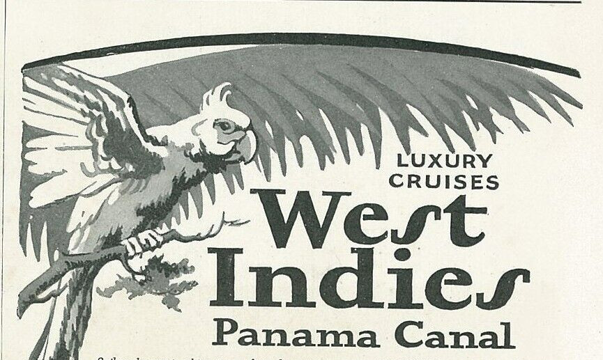 Holland America Line West Indies Panama Canal Parrot Cruise 1927 Print Ad