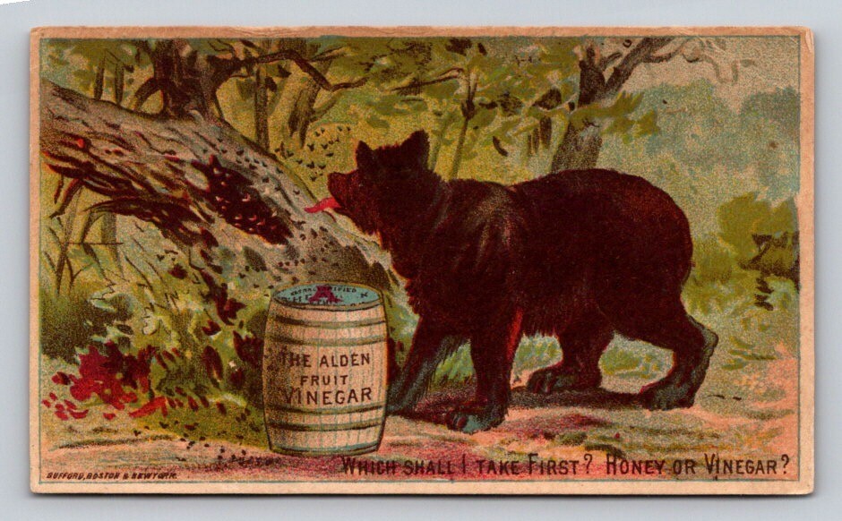 Alden Fruit Vinegar Thomas Jarrett Bear Bees Dorchester Nebraska P160