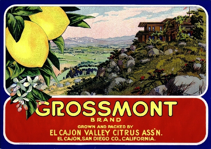 El Cajon San Diego County Grossmont Lemon Citrus Fruit Crate Label Art Print