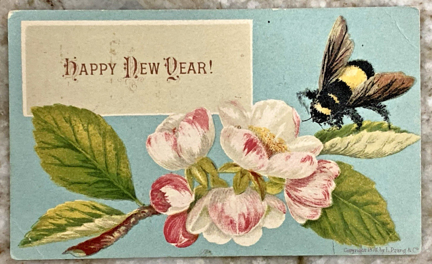 HAPPY NEW YEAR Bumble Bee Pink & White Flower 1875 Victorian Greeting Card B723