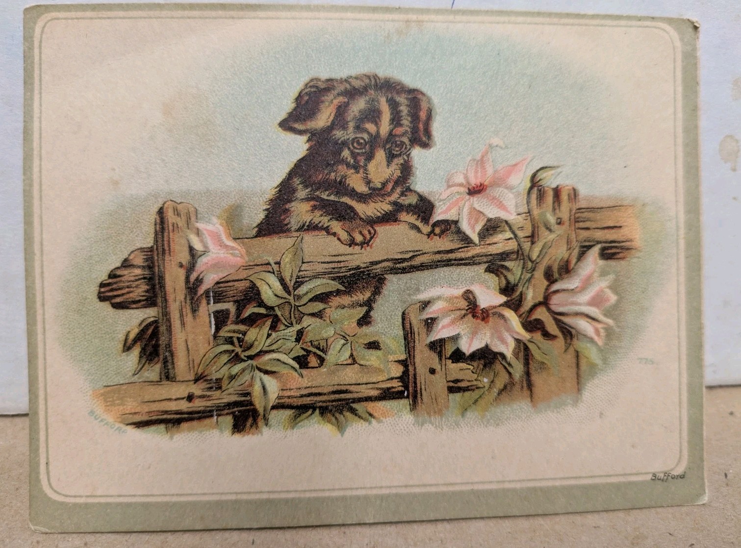 Victorian Trade Card C.C. Chaplin’s Popular Shoe Store Boston MA Adorable Puppy