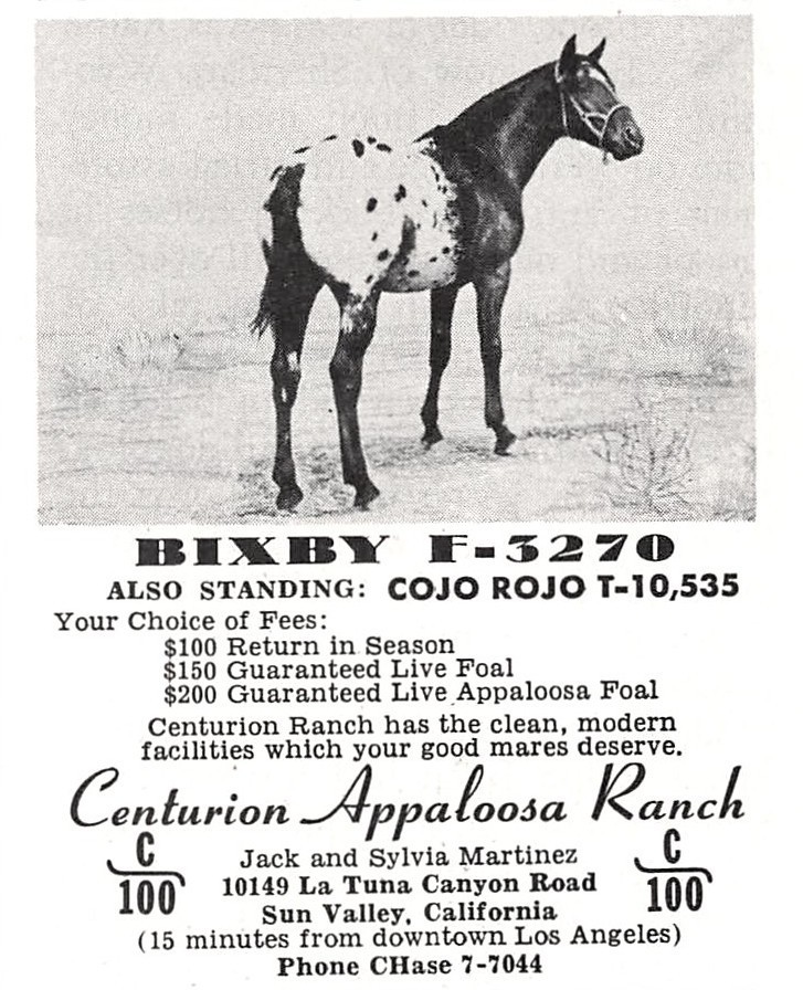 Jack & Sylvia Martinez Bixby Centurion Appaloosa Ranch Sun Valley CA Vtg Mag Cut