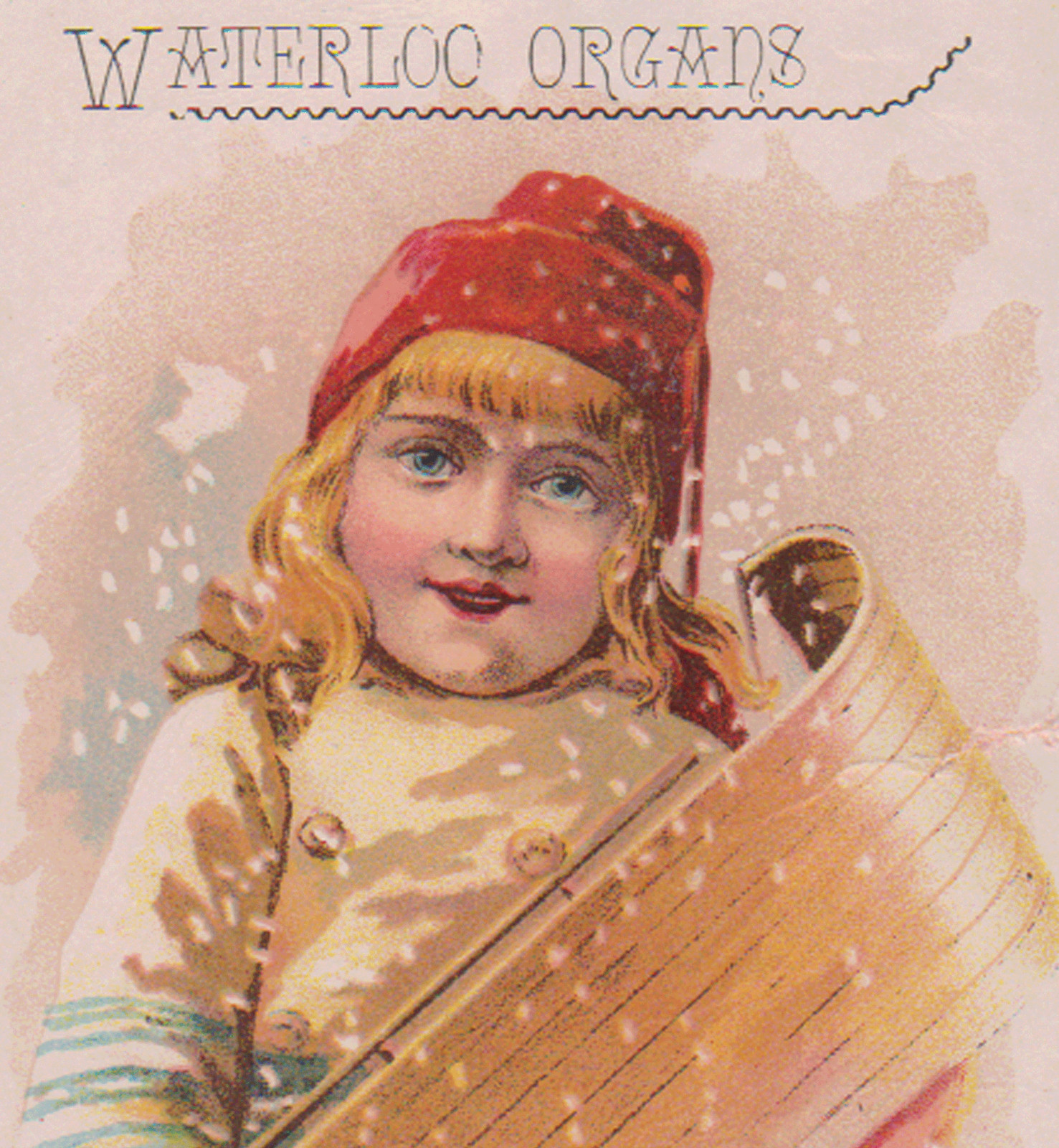 1889 TRENTON NJ TRADE CARD, WATERLOO ORGANS,G E SNEDEKER at 5 N. WARREN St F883