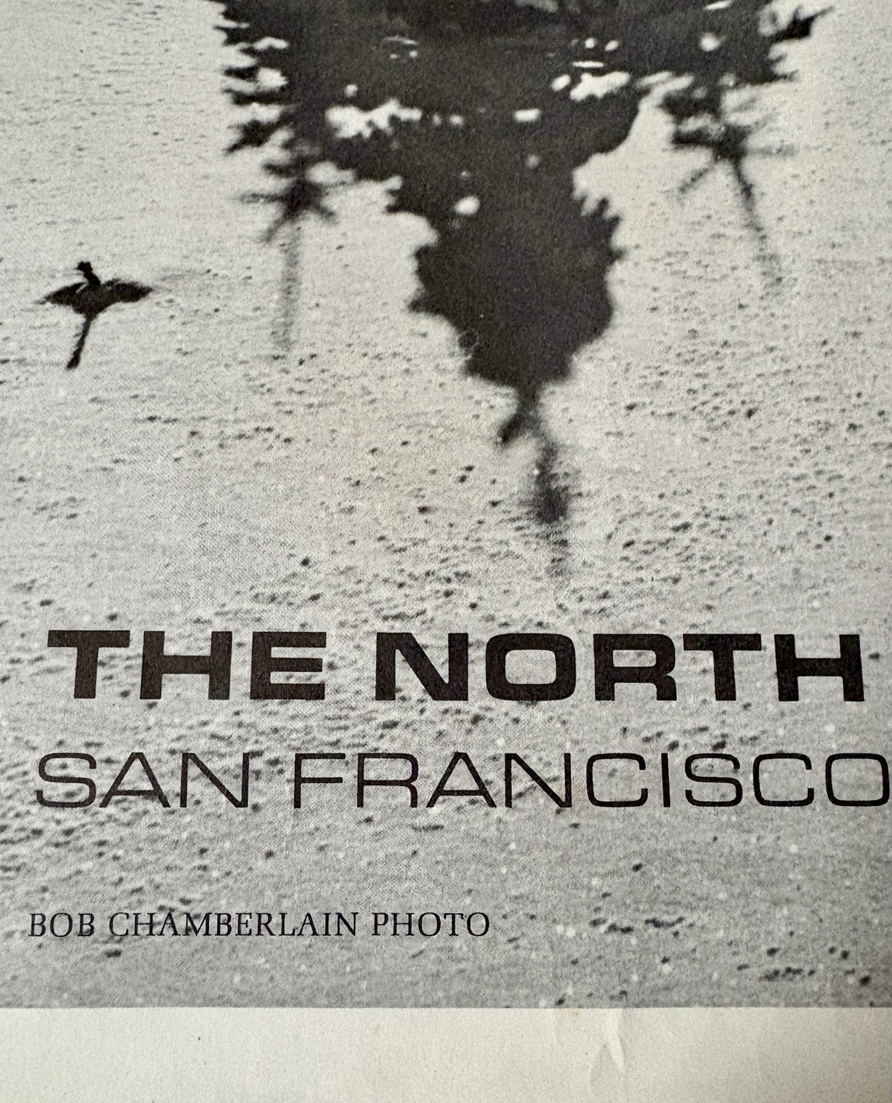 Vintage The North Face Ski Shops Poster Advertising Sign Black And White Litho