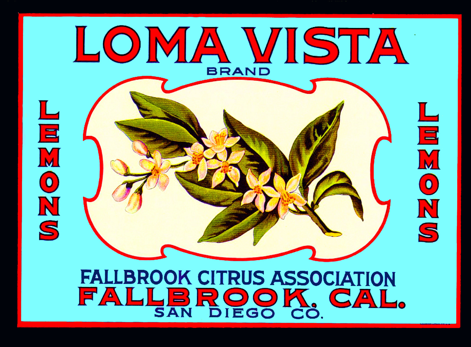Fallbrook San Diego Loma Vista Lemon Citrus Fruit Crate Label Vintage Art Print