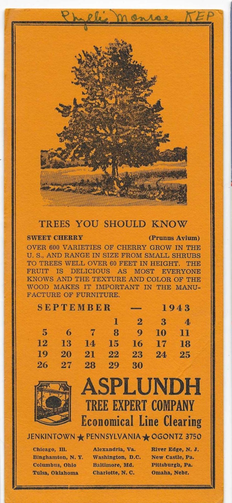 WWII Sept 1943 early Asplundh Tree Co ad blotter now worldwide disaster response