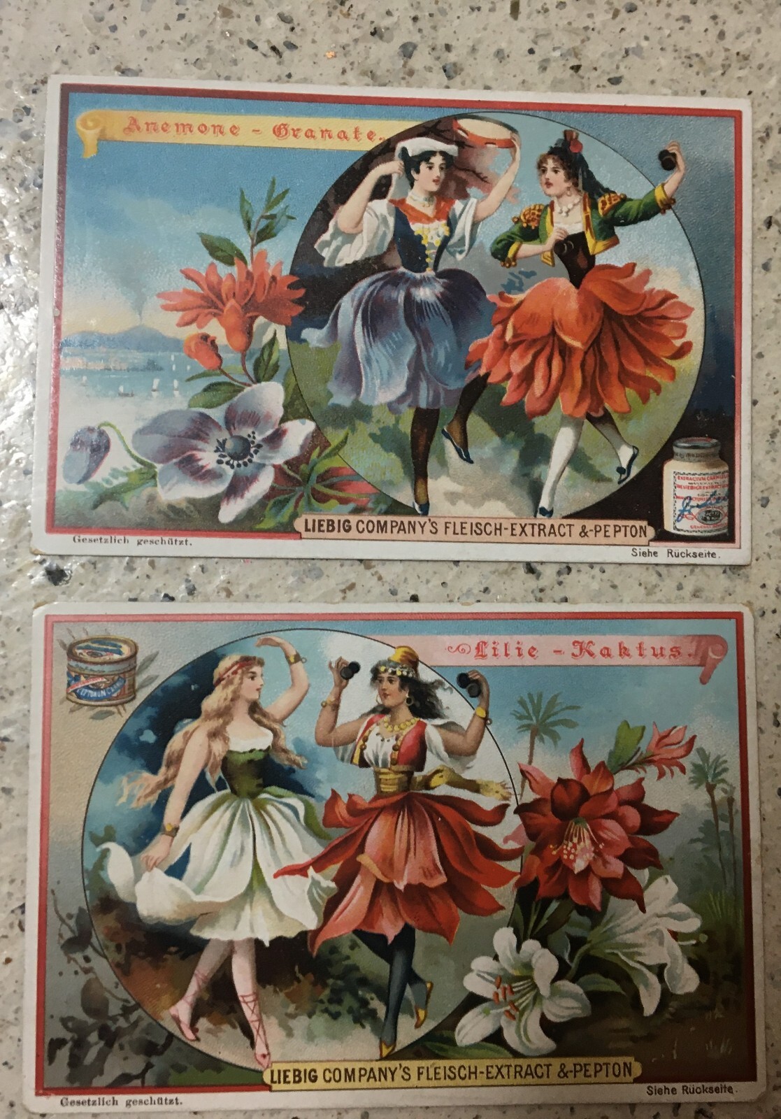 2 antique Liebig Company’s Fleisch Extract trade cards beautiful flowers! German