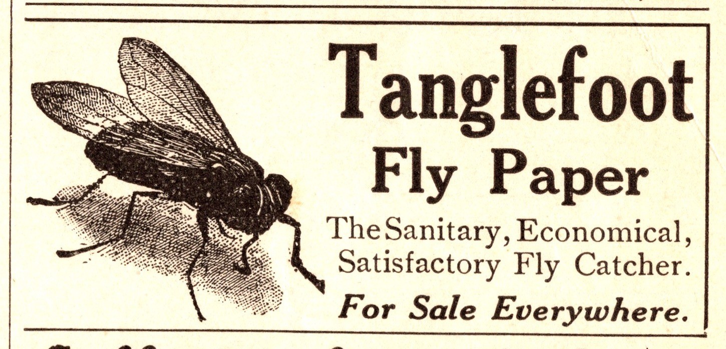 Original 1912 Tanglefoot Fly Paper Print Ad (1.5in x 2.5) Advertisement