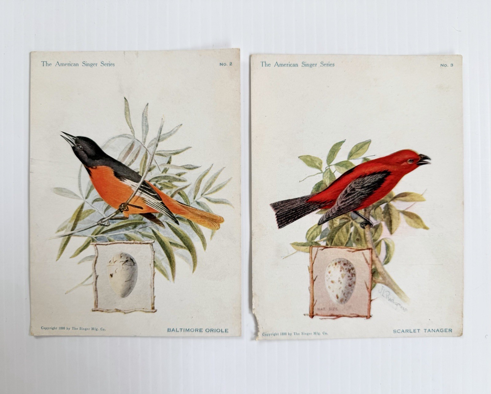 Set Of 2 1898 Victorian Trade Cards, Singer Sewing, American Song Birds w/Eggs