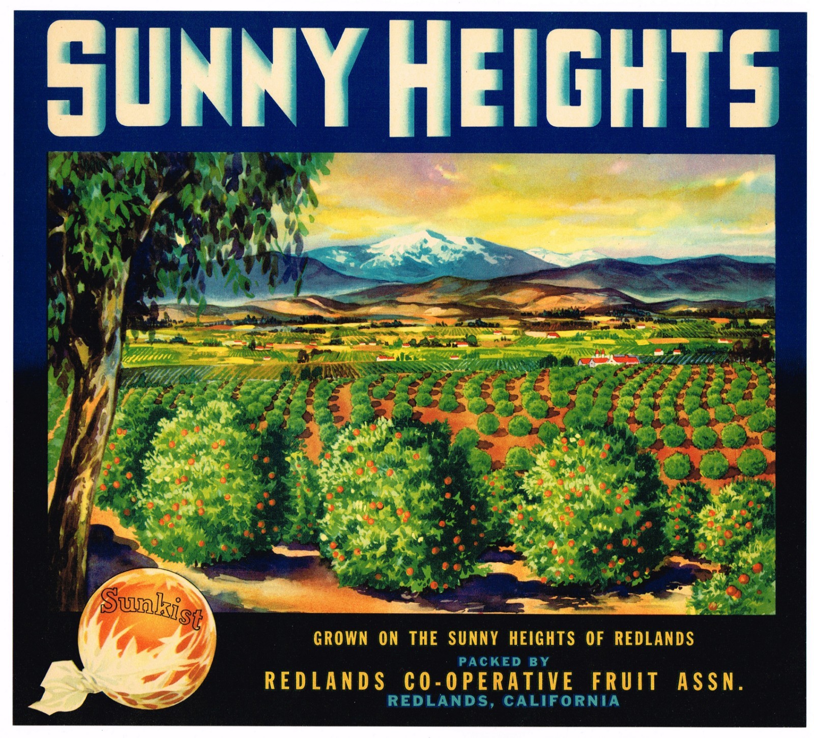 ORIGINAL ORANGE CRATE LABEL SUNNY HEIGHTS REDLANDS ORCHARD SCENE 1940S VINTAGE