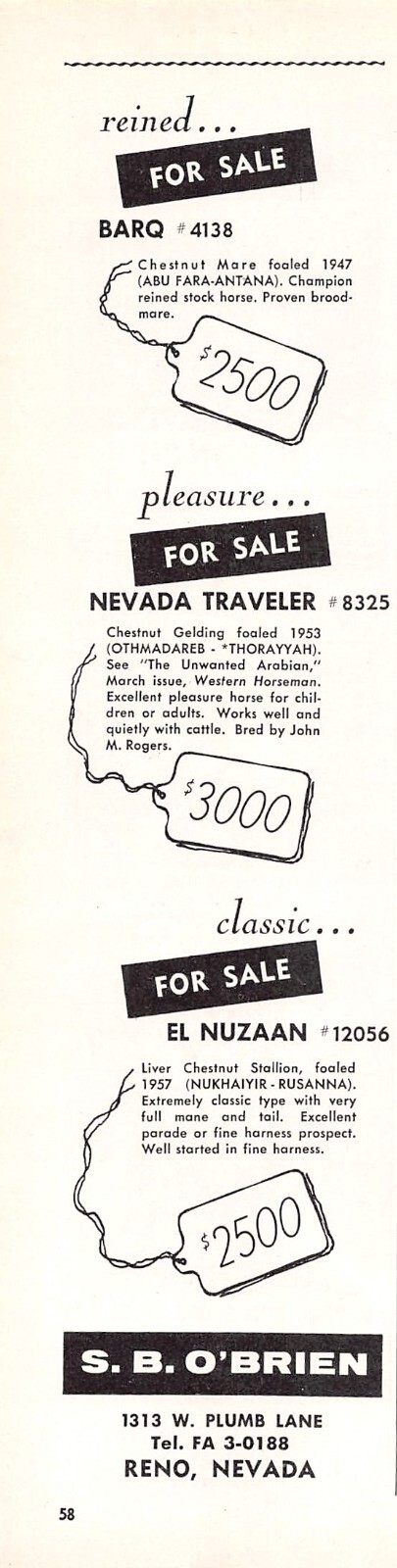 S B O’Brien Horse Sale Barq Nevada Traveler El Nuzaan Reno NV Vtg Mag Print Ad