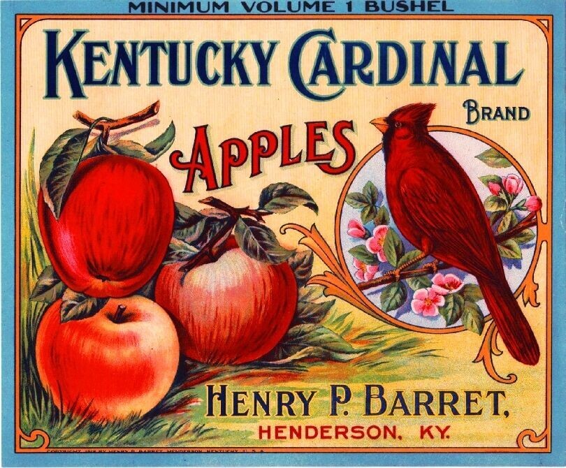 Cardinal Brand Apples Henderson Kentucky Bird Retro Fruit Crate Label Art Print