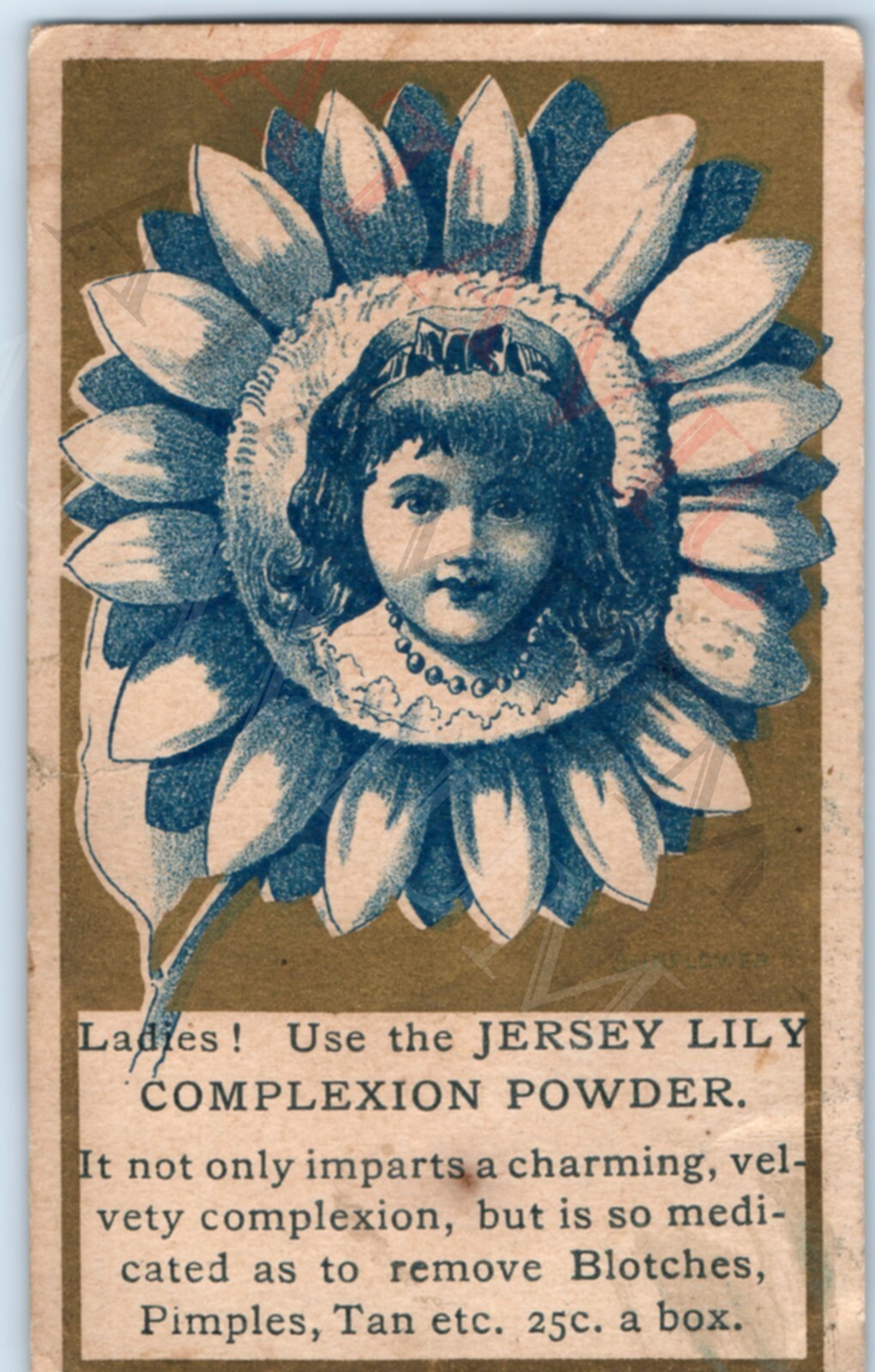 1882 Jersey Lily Complexion Powder Trade Card Makeup Sunflower Beauty Cosmetics