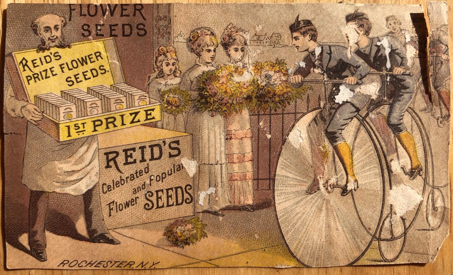The Garden/Nature Corner: Antique Reid’s Veggie/Flower Paper Ad