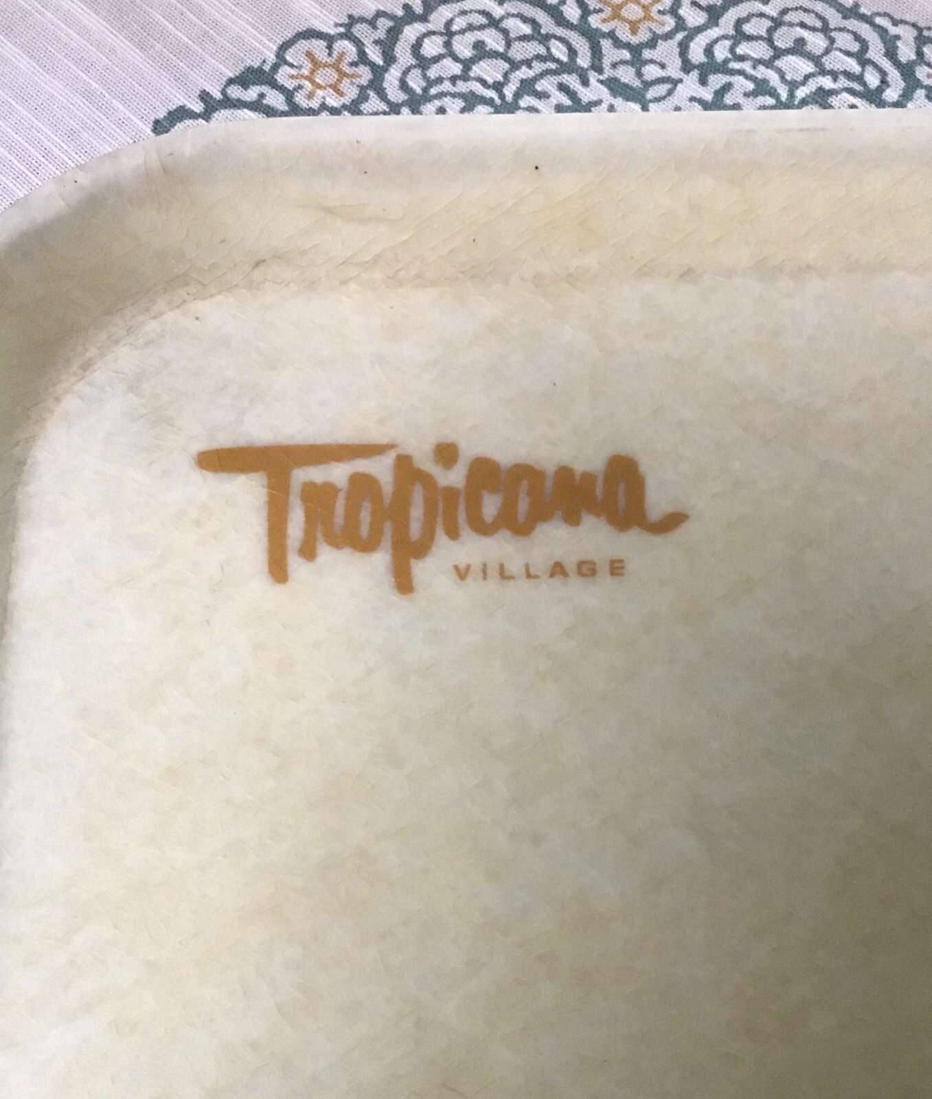 Pair Vintage Tropicana Village 18″ Camtray Cambro Advertising Fiberglass 710A