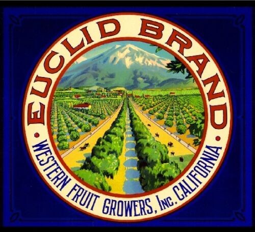 Euclid Brand Mt. Baldy Upland Ca Orange Citrus Fruit Crate Label Retro Art Print