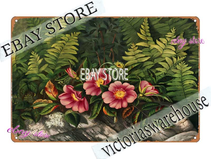 1860s Wild Roses Floral Botanical Art Print Louis Prang Tin Sign room wall decor