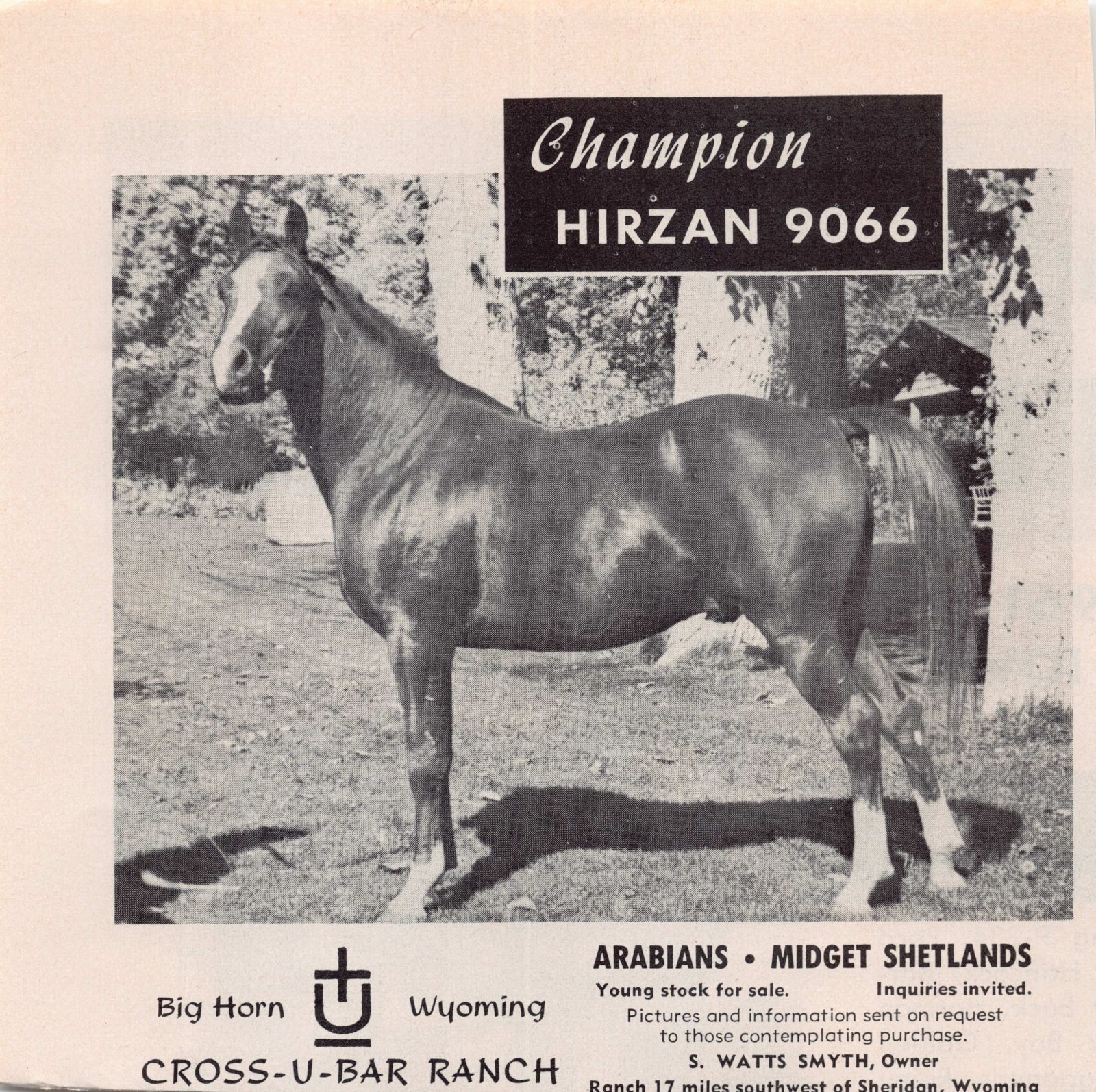 Cross-U-Bar Big Horn Wyoming S Watts Smyth Owner Vintage Magazine Ad