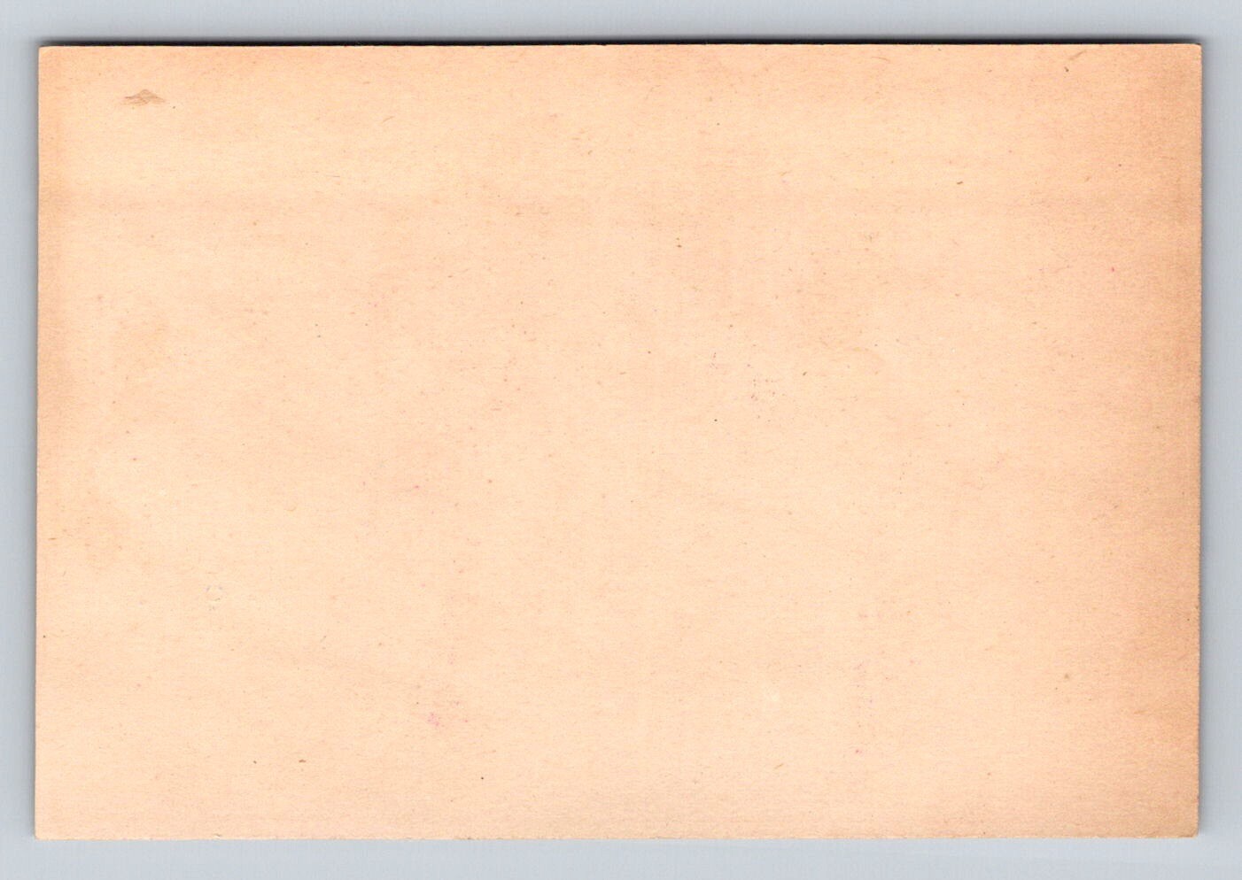 1882 Bicentennial Troths Hams Fruits Desserts Philadelphia P93