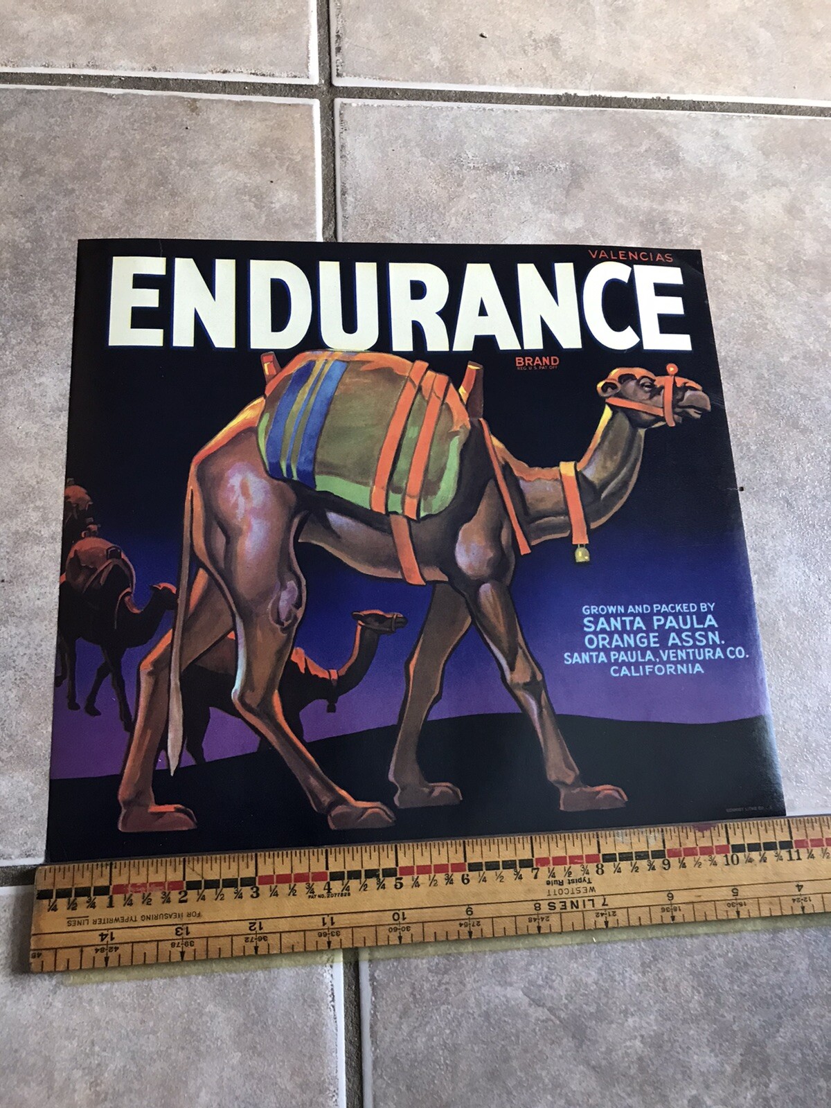 Endurance Oranges Valencias Fruit Crate Label Original 1930’s 11 X 10 Inch