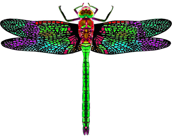 Dragonfly Purple Cut Out Metal Art 17×13