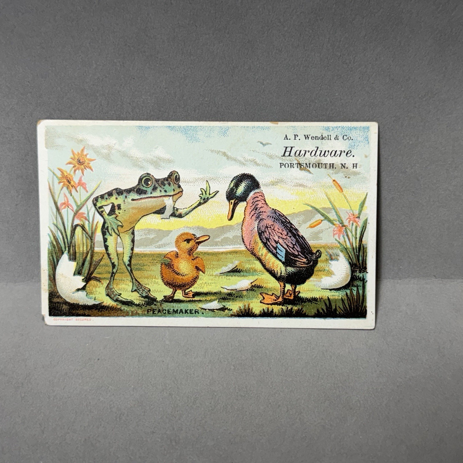 Antique Eggspectation Peacemaker Frog Chick Duck Humor Victorian Trade Card