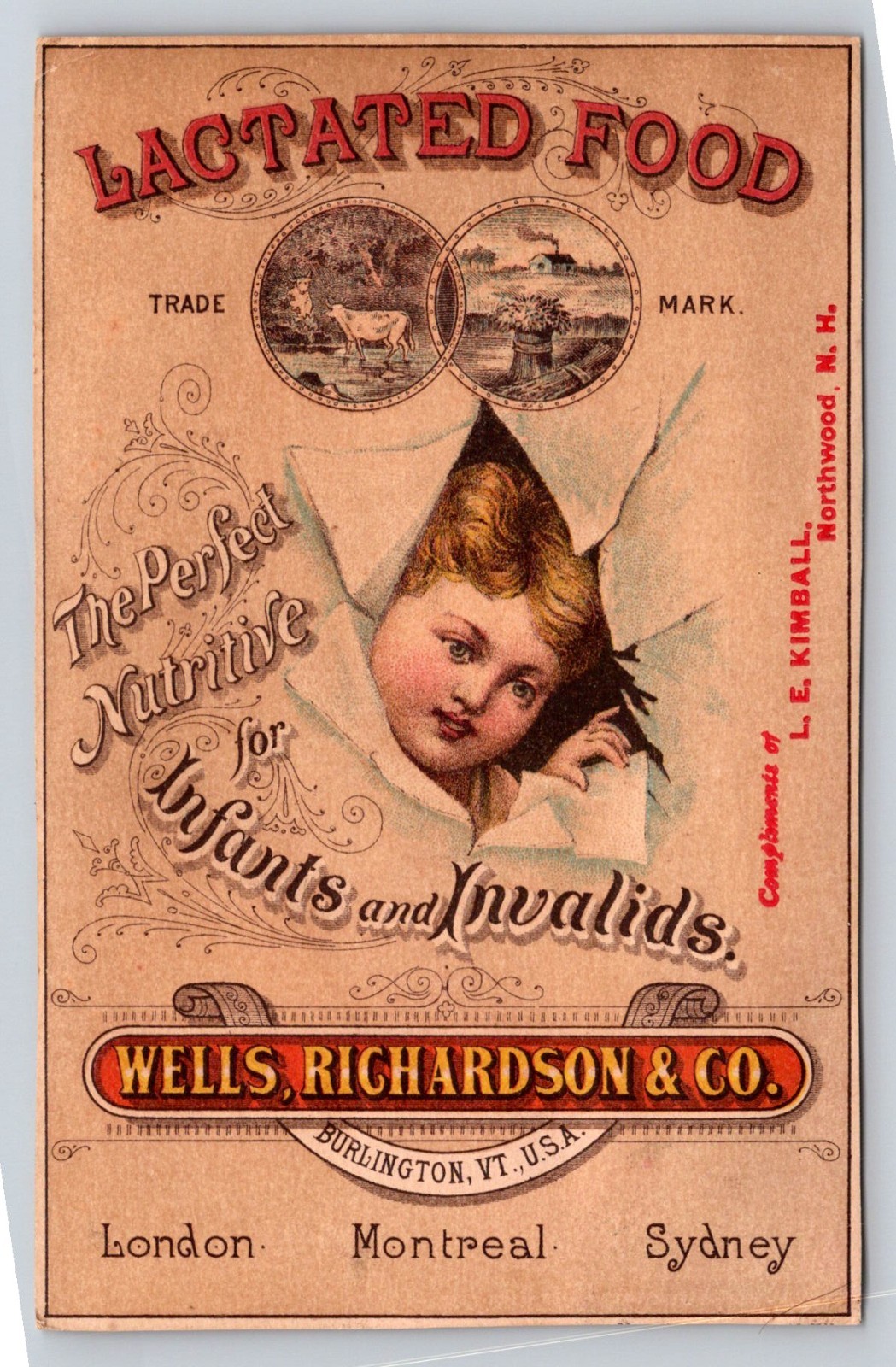 Wells Richardson Lactated Food For Infants Invalids Trade Card P880