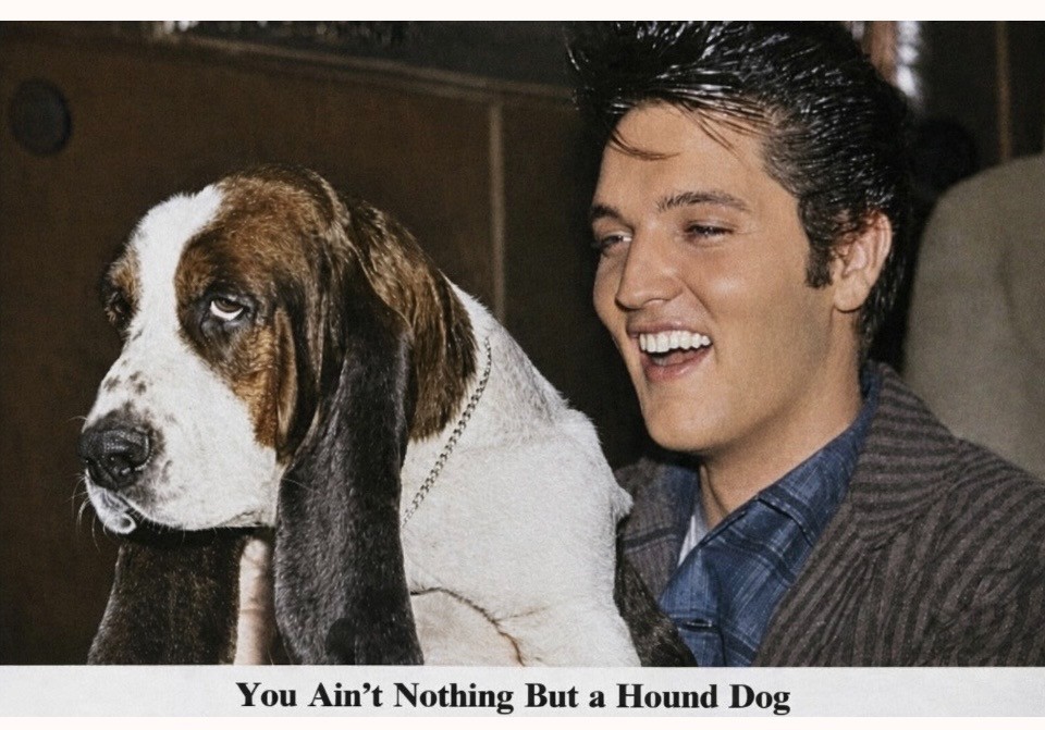 Elvis Presley – Hound Dog/Picture – Poster 8″x 10″
