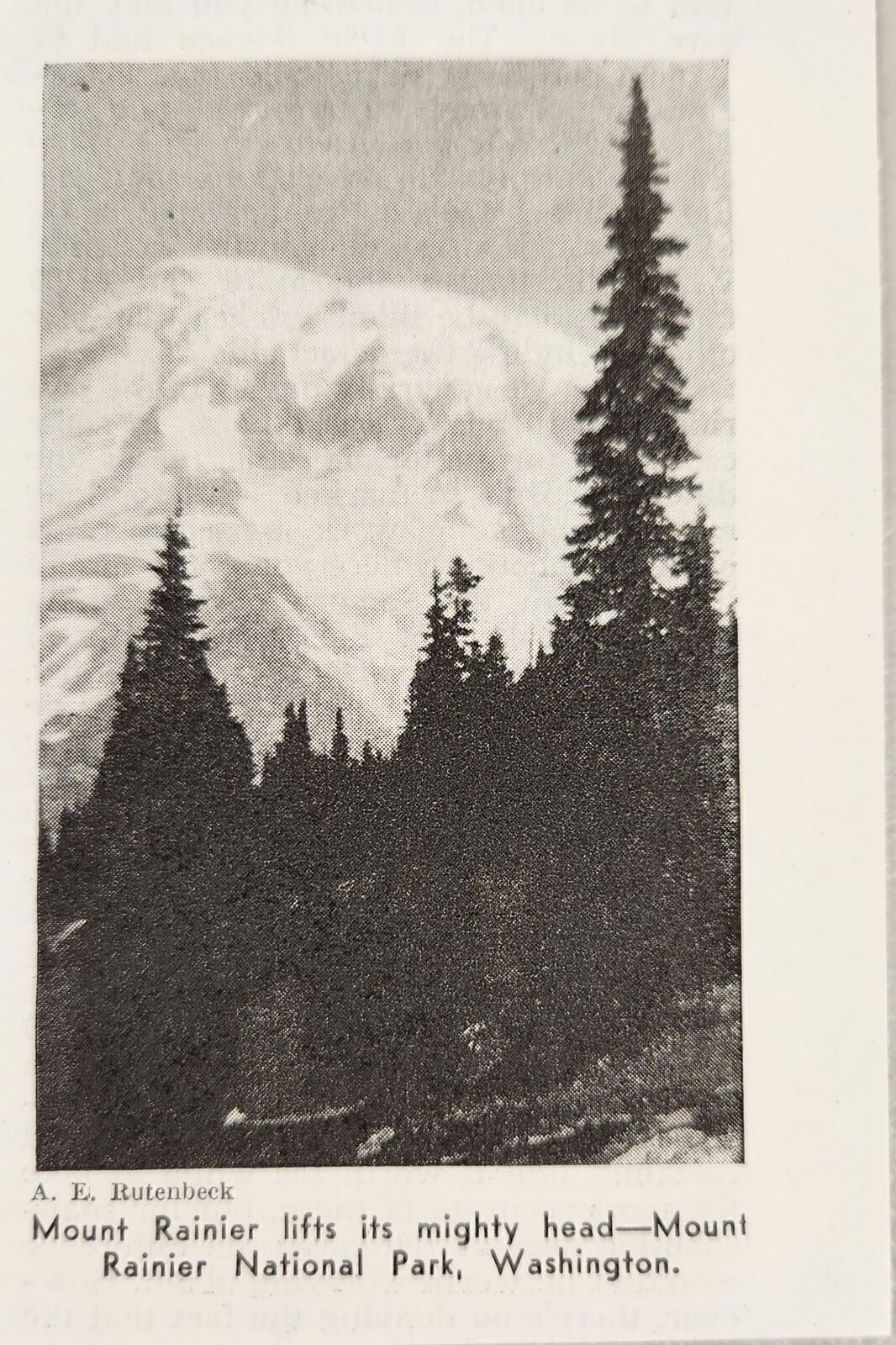 1939 Magazine Photo Mount Rainier in Mount Rainier National Park Washington