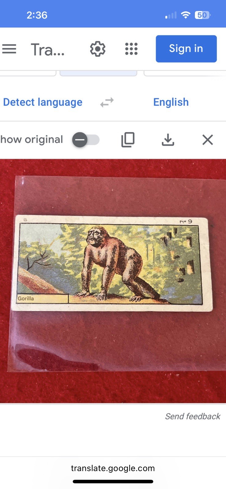 1950s – 60s Chocolat Jacques “Ferocious Animals” GORILLA Trade Card #9 VG-EX