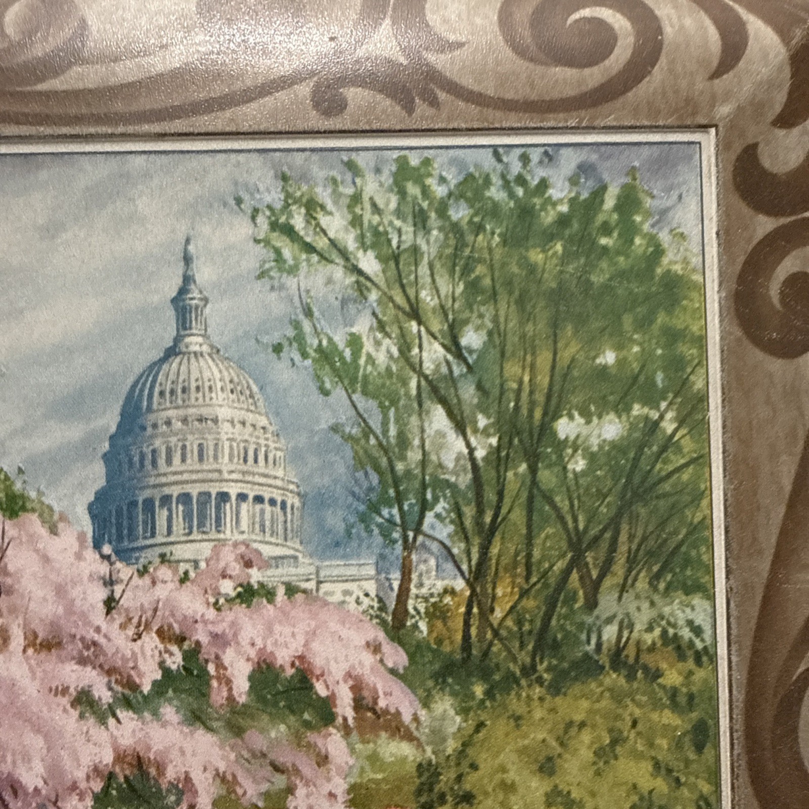 Vintage Sunshine Biscuit Tin Washington DC Cherry Blossoms
