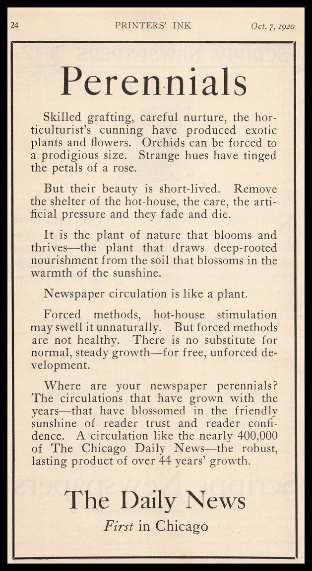 1920 Daily News Chicago Newspaper “Circulation Is Like A Plant” Vintage Print Ad