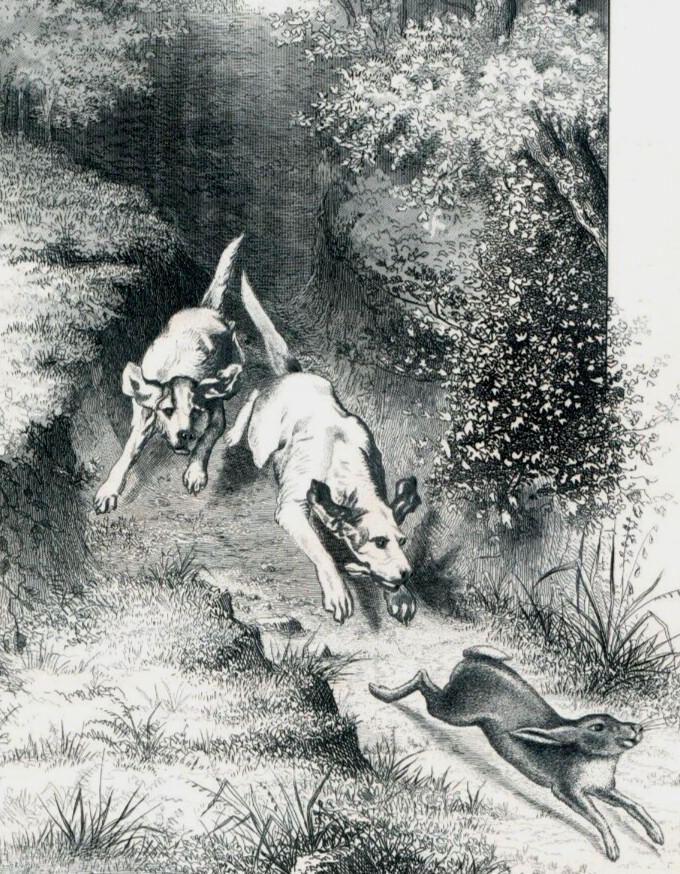 1870s-80s Engraved Printer’s Sample Card Hunting Dogs Rabbit 3T