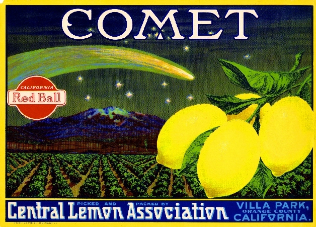 Villa Park Comet Lemon Citrus Fruit Crate Label Art Print