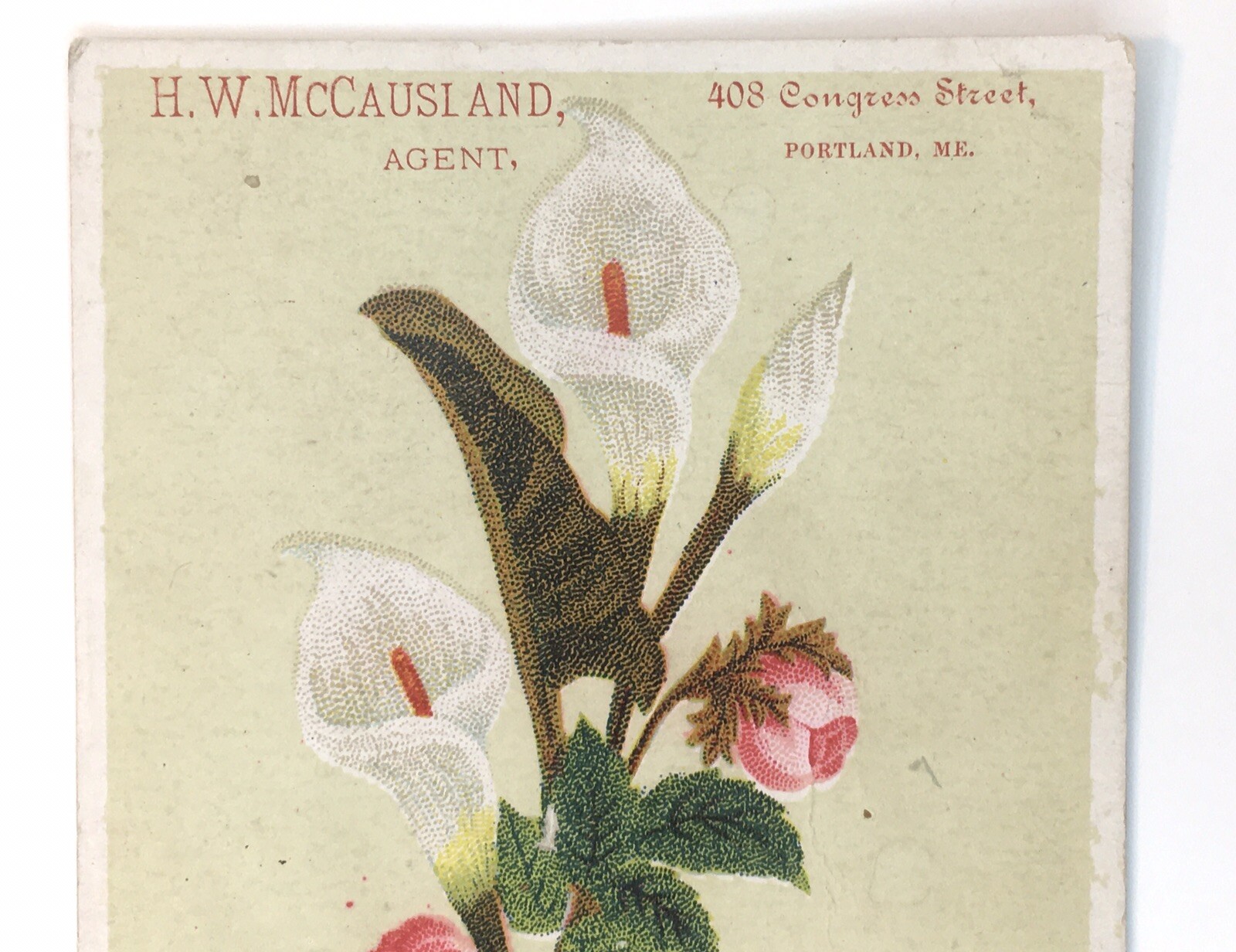 1880’s era Davis Sewing Machine, Watertown, N.Y. floral Trade Card H.W. McCausi