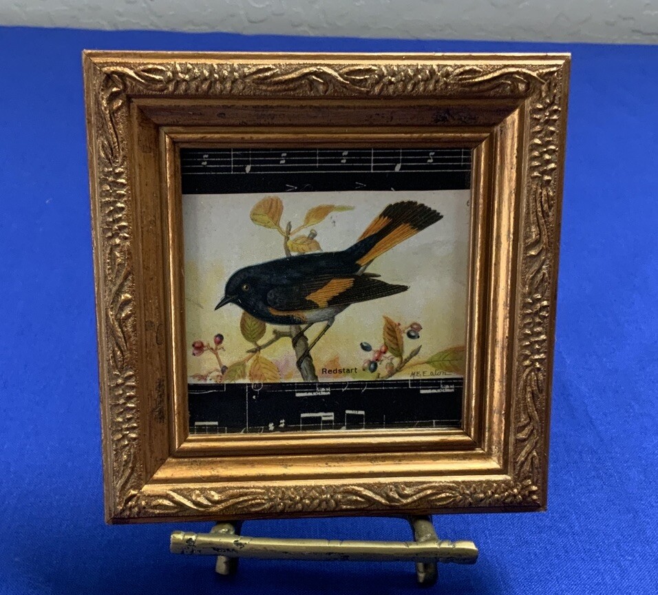 Vintage Antique Victorian Trade Card Ephemera Framed, Bird – Redstart