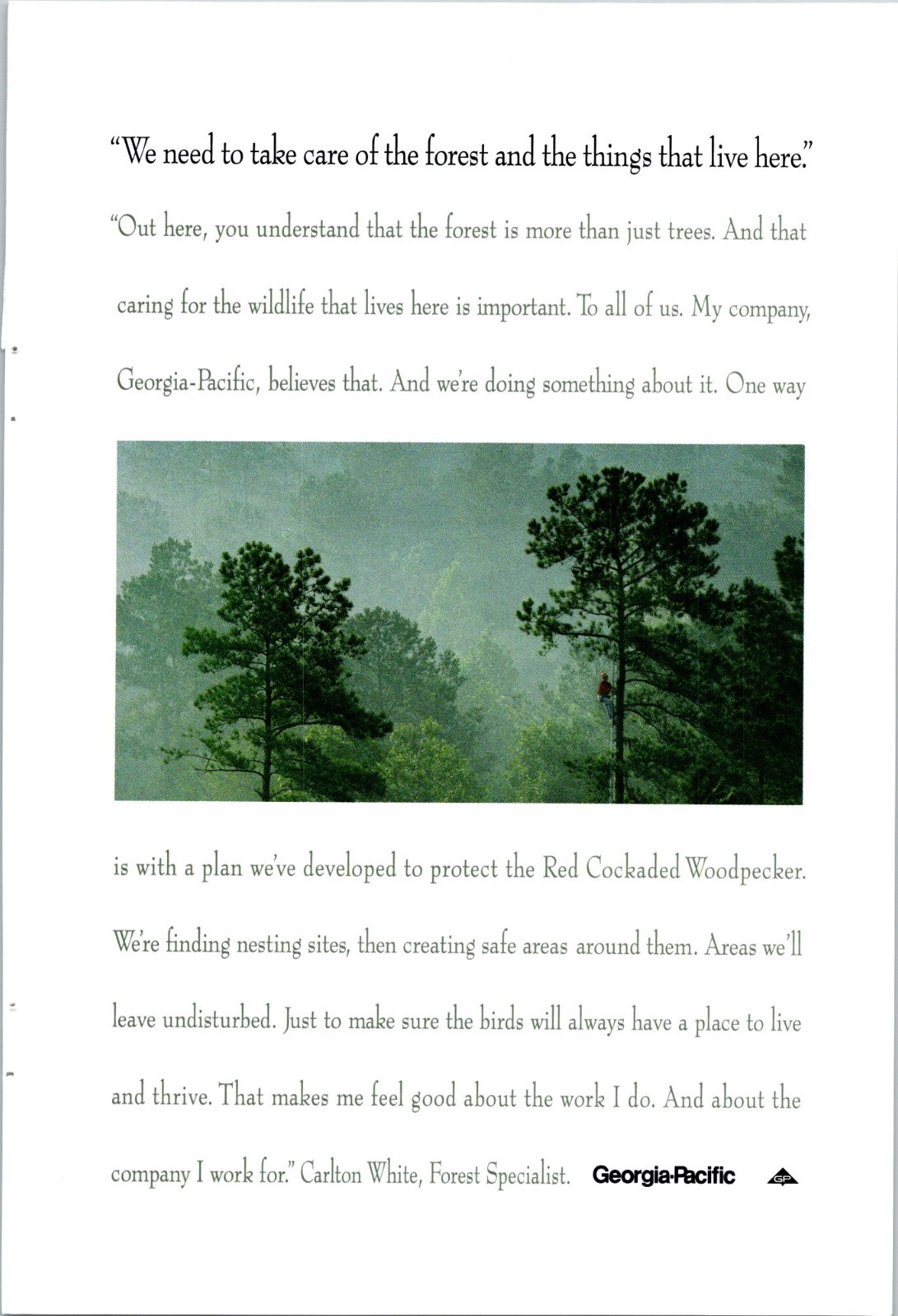 Georgia-Pacific Take care of the forest Vintage Print Ad 1994