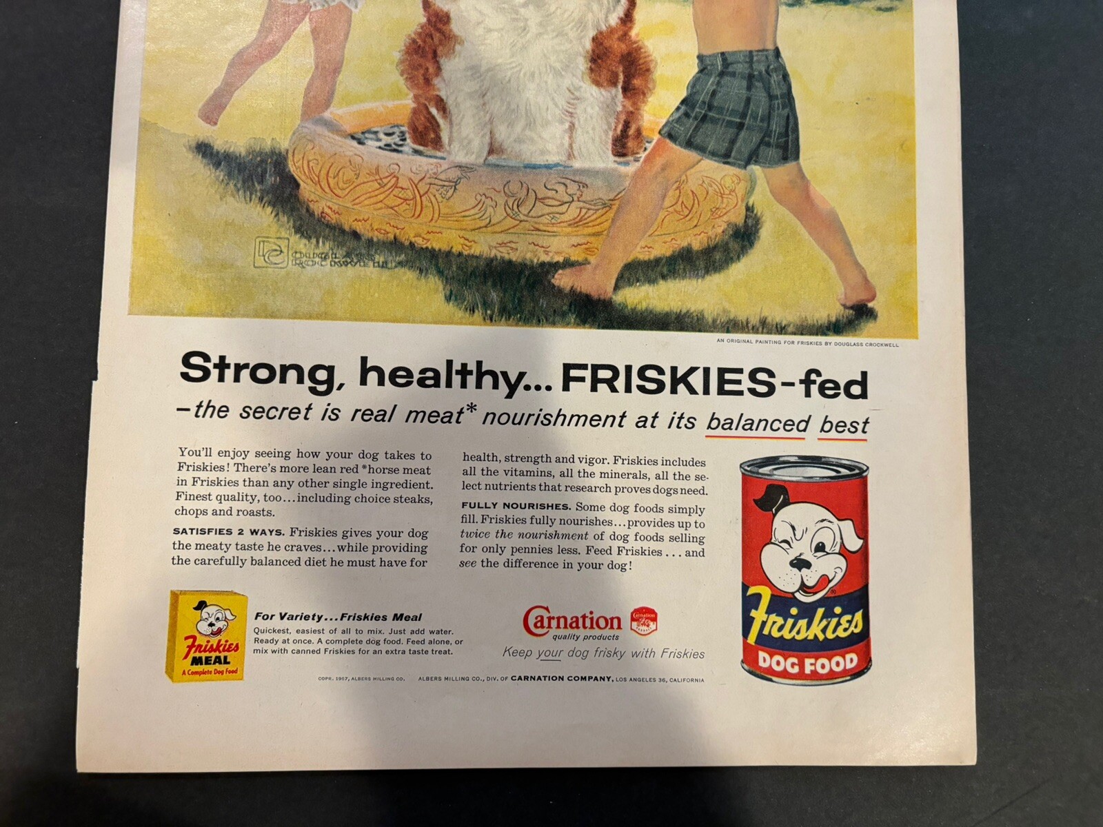 Vintage 1950s Advertising Friskies Dog Food, Carnation Co, St. Bernard