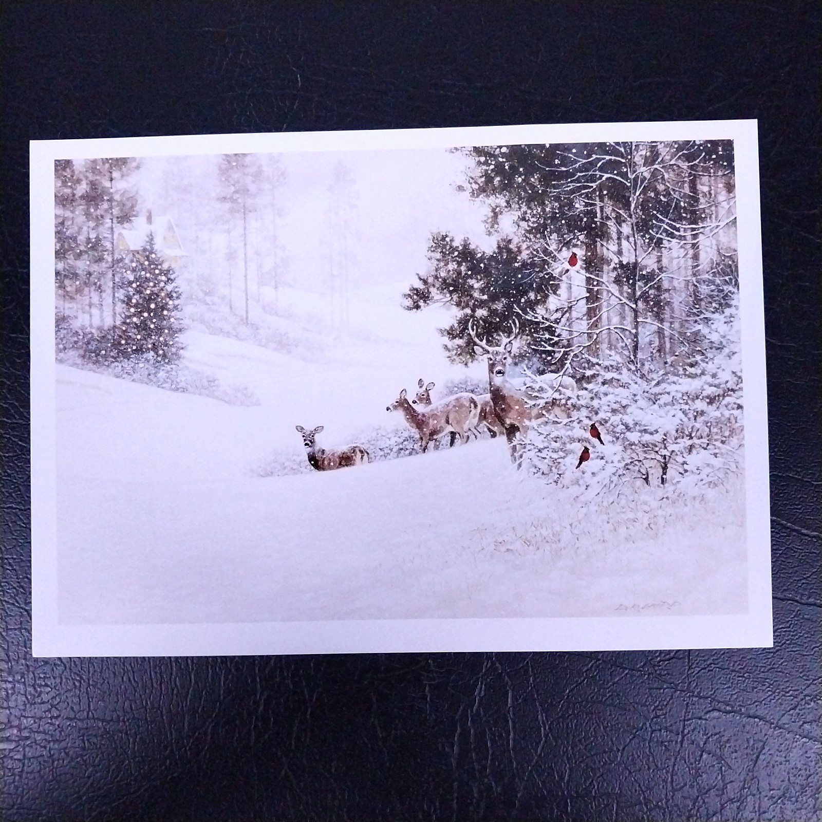 Smithsonian Christmas Card Sample Advertisement – Winter Visitors G652