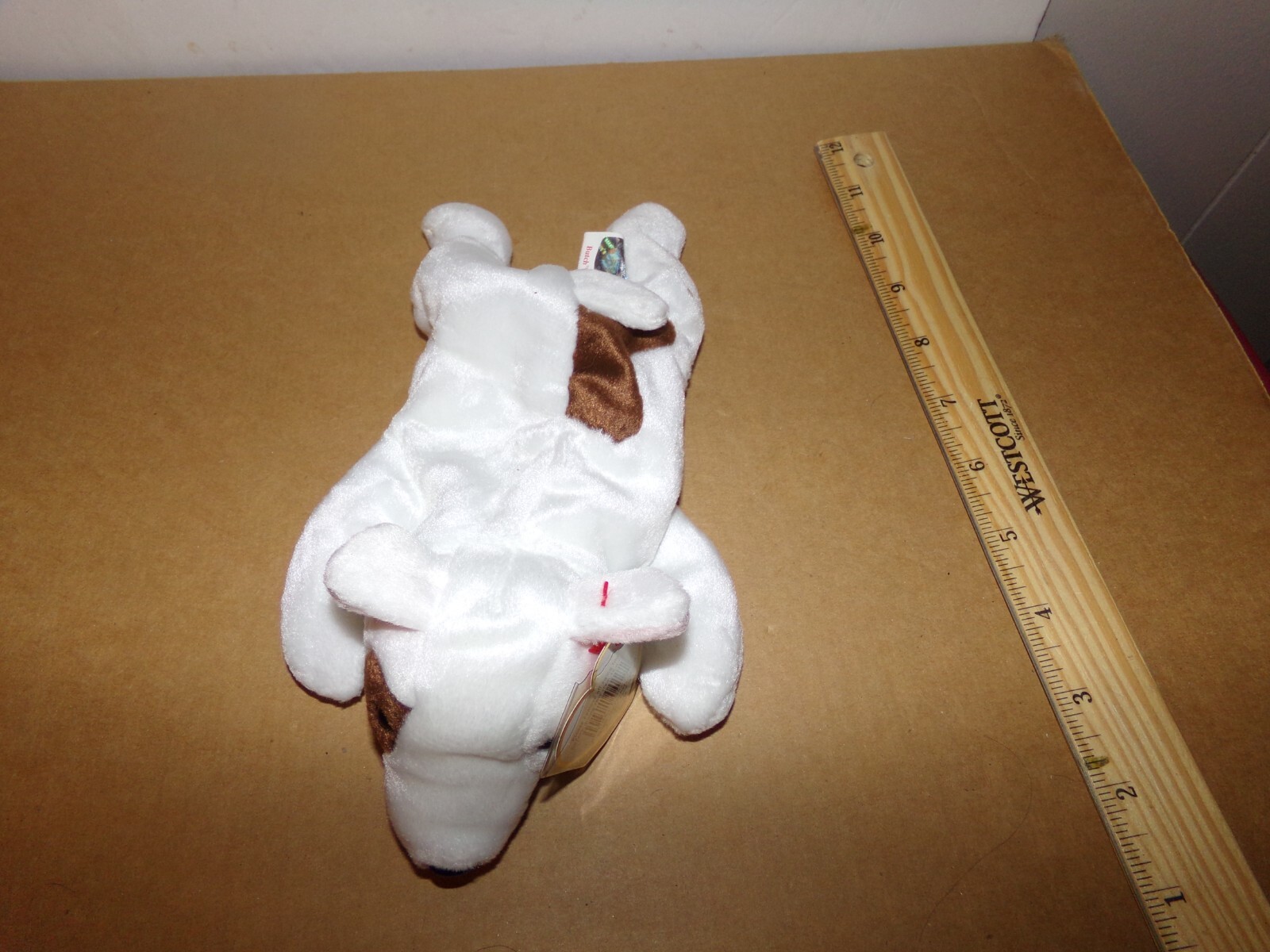 Ty Beanie Baby – BUTCH the Terrier Dog (9 Inch)