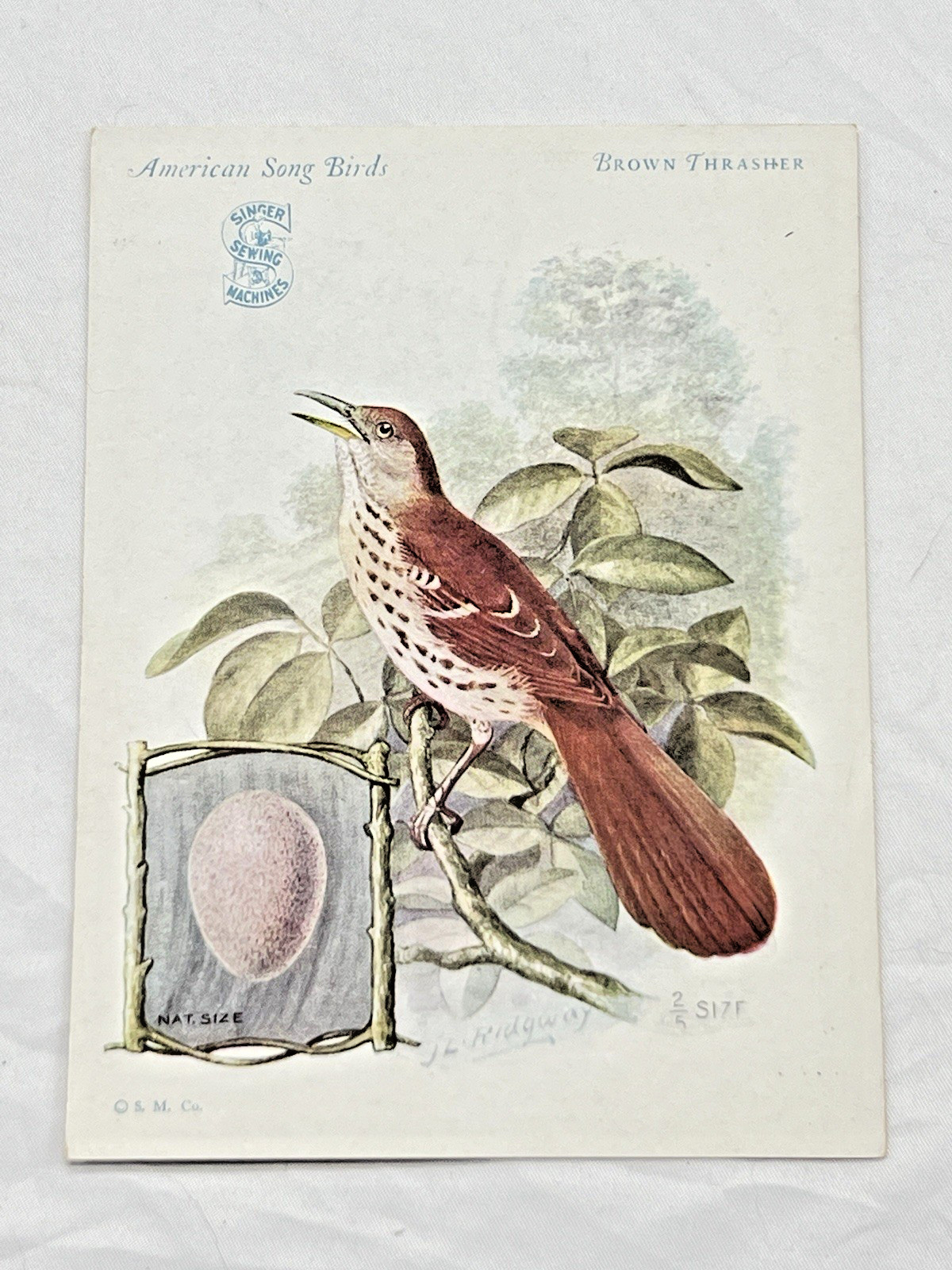 1927 Singer Sewing Machine American Song Birds Trade Cards 14/16 Complete Set