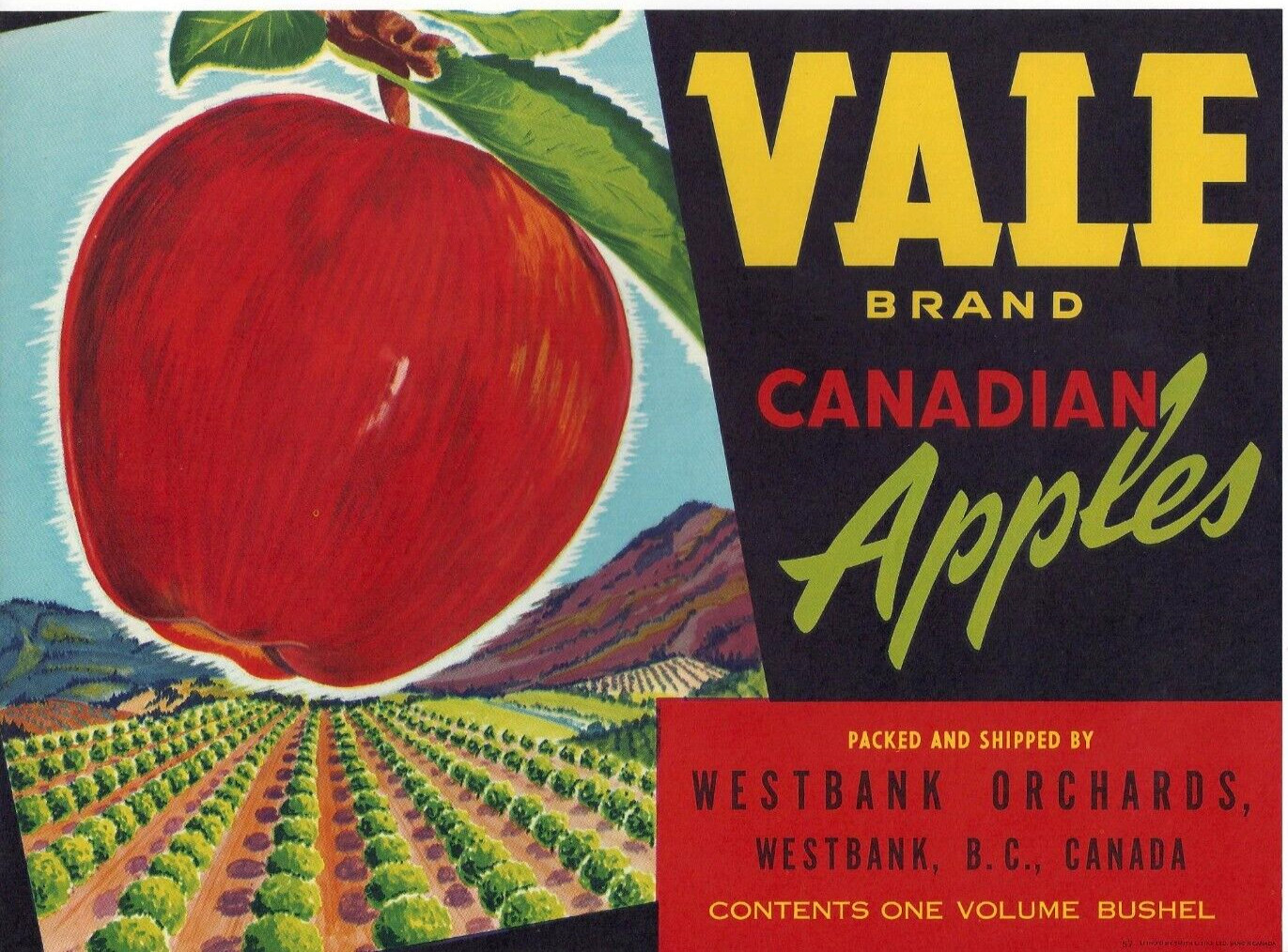 Original scarce VALE apple crate label Westbank British Columbia Canada