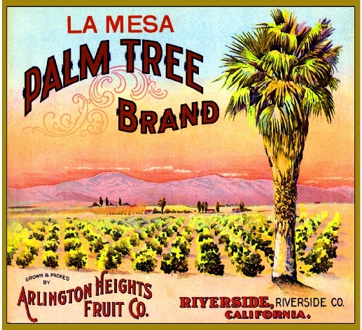 Riverside Arlington La Mesa Palm Tree Orange Citrus Fruit Crate Label Art Print