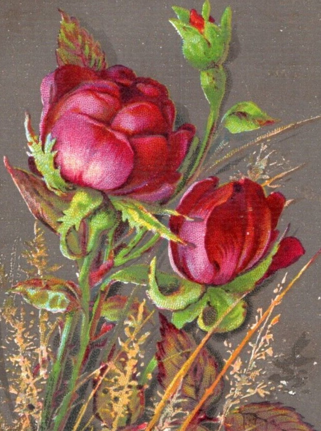 1880s Victorian Happy Christmas Trade Card Beautiful Red Roses F142